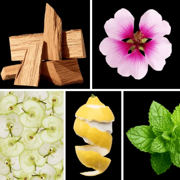 Duftnoten: Zedernholz, Geranie, Apfel, Zitrone, Minze Duftnoten: Zedernholz, Geranie, Apfel, Zitrone, Minze